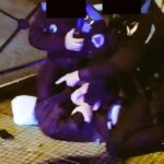 CGT acusa a la Policía Portuaria de “mentir” para justificar una agresión a sindicalistas