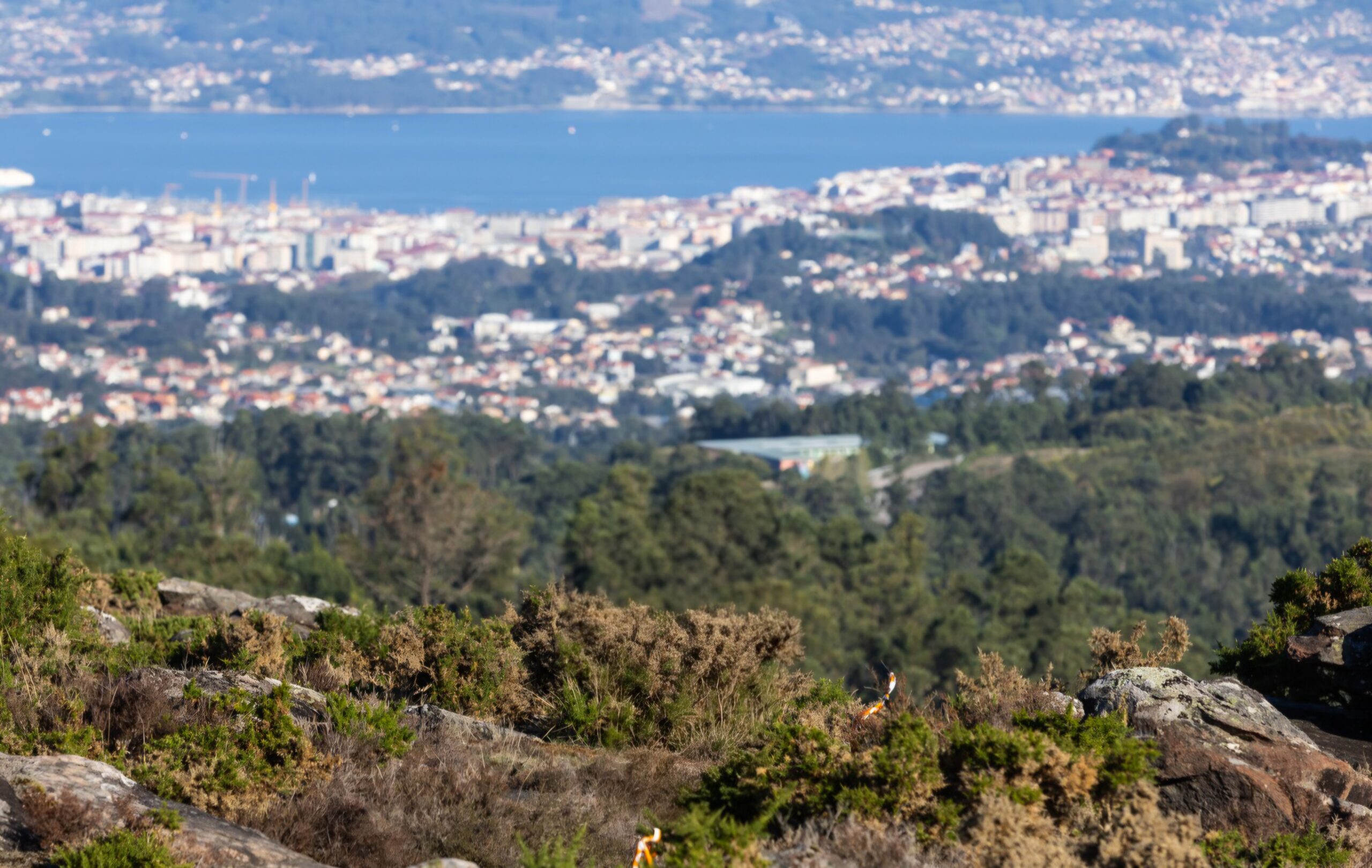 Un octogenario pasa la noche perdido en un monte de Vigo