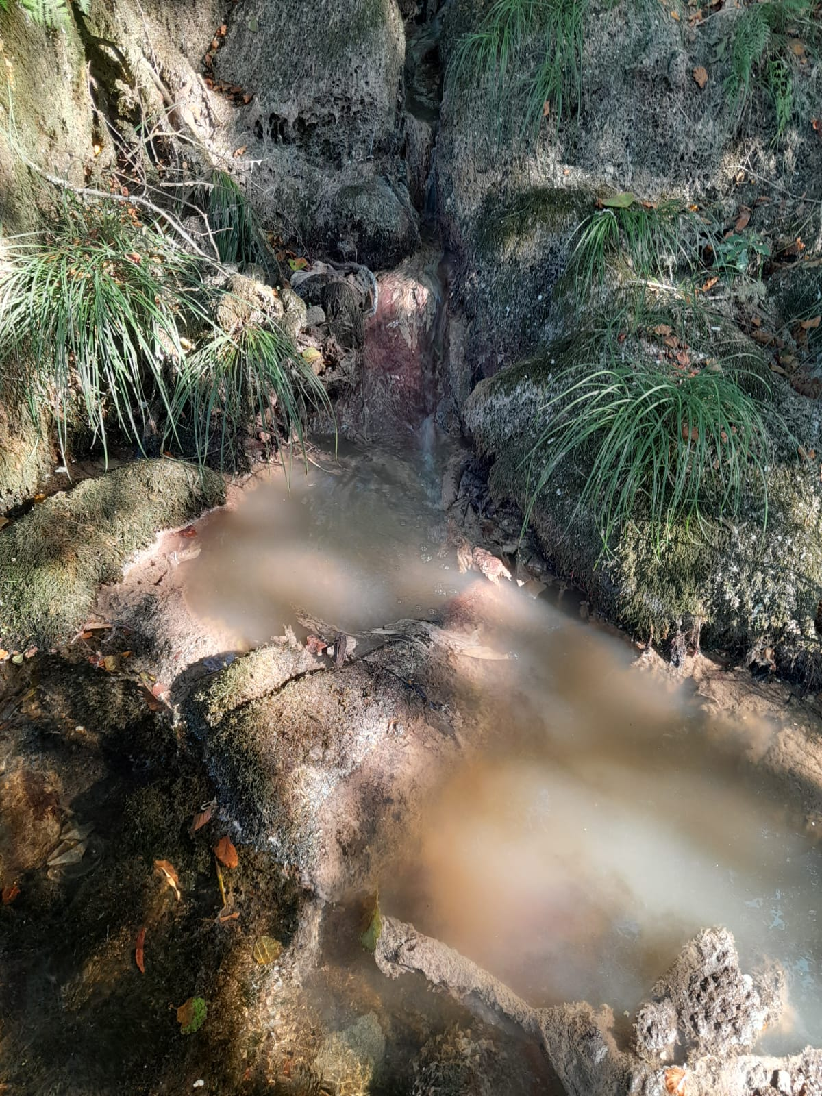 Ecoloxistas en Acción alerta de vertidos de aguas residuales en el río Oitavén, que abastece al embalse de Eiras