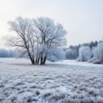 O interior de Galicia esperta con temperaturas de ata 6 graos baixo cero