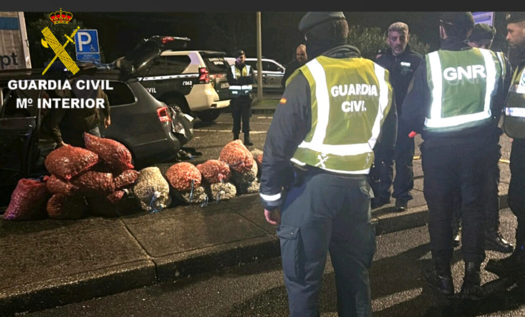 Intervenidos 1.200 kilos de almeja y 200 kilos de berberecho, en un control conjunto de la Guardia Civil y la GNR portuguesa