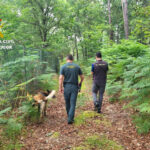 Dos detenidos por la muerte de un perro y el maltrato de otros dos