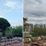 Talan un pino piñonero centenario en Navia, durante las obras del Plan Parcial