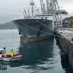 150 especies viven bajo los muelles del Puerto de Vigo