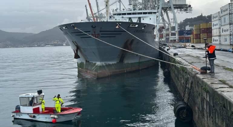 150 especies viven bajo los muelles del Puerto de Vigo