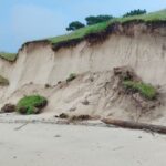 Grave derrumbe en la duna de A Calzoa por el temporal: alerta de riesgo ambiental y de seguridad