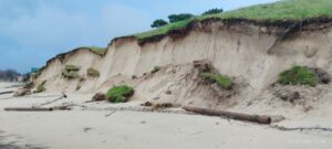 Grave derrumbe en la duna de A Calzoa por el temporal: alerta de riesgo ambiental y de seguridad