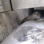 Dos detenidos tras intentar introducir más de 80 kilos de cocaína a través del puerto de Vigo