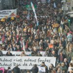 "Altri Non" celebra a vitoria contra a macrocelulosa, pero advirte que aínda queda o golpe de graza