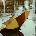 No adivinarás cuál es el pronóstico del tiempo: eso es, lloverá todos los días