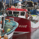 ARVI alerta del riesgo de paralización del sector pesquero por la subida del combustible