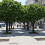 Vivimos en un 'Vigo verde' según el alcalde, al que el BNG acusa de crear una “ciudad escaparate” para Instagram