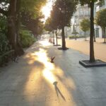 Marzo se despide de Vigo con cielos despejados