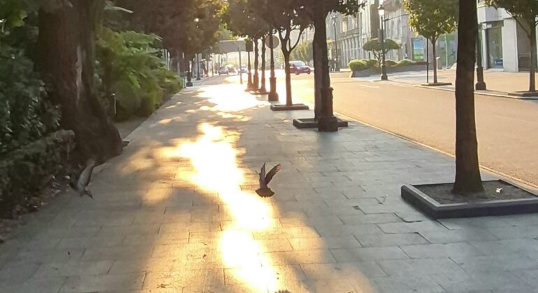 Temperaturas por encima de los 30 grados, hasta el miércoles
