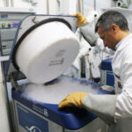 Más de 100.000 embriones congelados “abandonados” en España: qué son y por qué preocupa a las clínicas