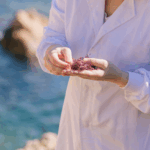 La gallega CEAMSA se alía con Poseidona para desarrollar un nuevo ingrediente proteico a partir de algas