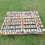 Máis de 23.000 paus de batea retirados nunha hora: o Tarugotón volve mobilizar o voluntariado nas praias galegas