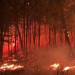 Estabilizado el fuego del Galleiro, que ha arrasado 600 hectáreas