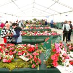 Máis de medio cento de expositores na II Mostra da Camelia do Porriño