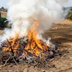 Prohibidas desde este venres as queimas agrícolas e forestais: os concedidos quedan anulados