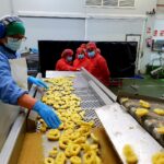 Trabajo: 100 puestos para operarios en Cabomar