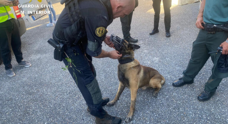 Helicópteros, drones y perros de rastreo buscan al hombre fugado tras llevarse a su hijo en Ponte Caldelas