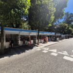 Feira del Libro de Vigo 2026: programación completa con más de 200 autores y 20 librerías