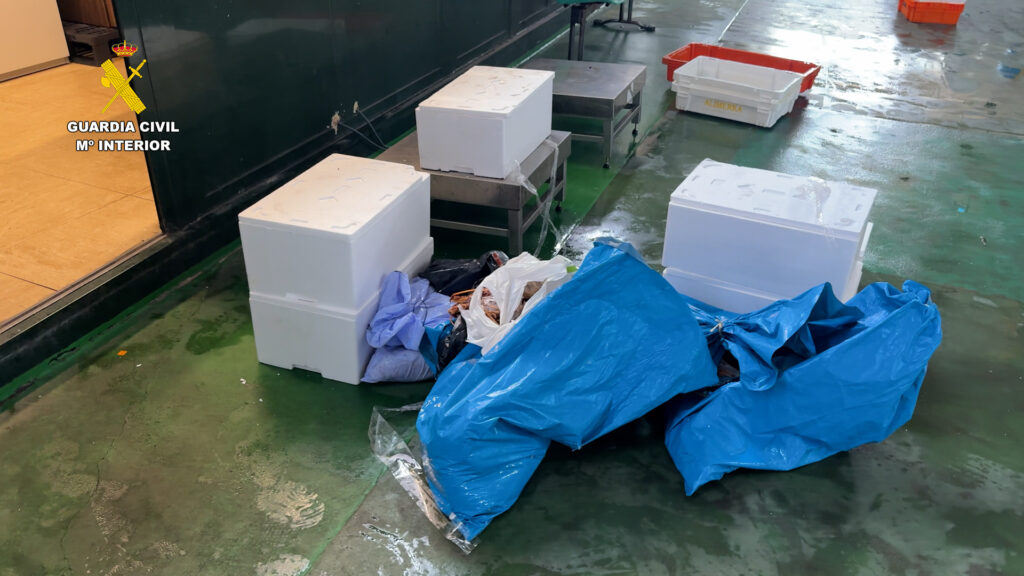Pescado sin papeles y marisco en veda: el Seprona interviene 181 kilos en Bueu