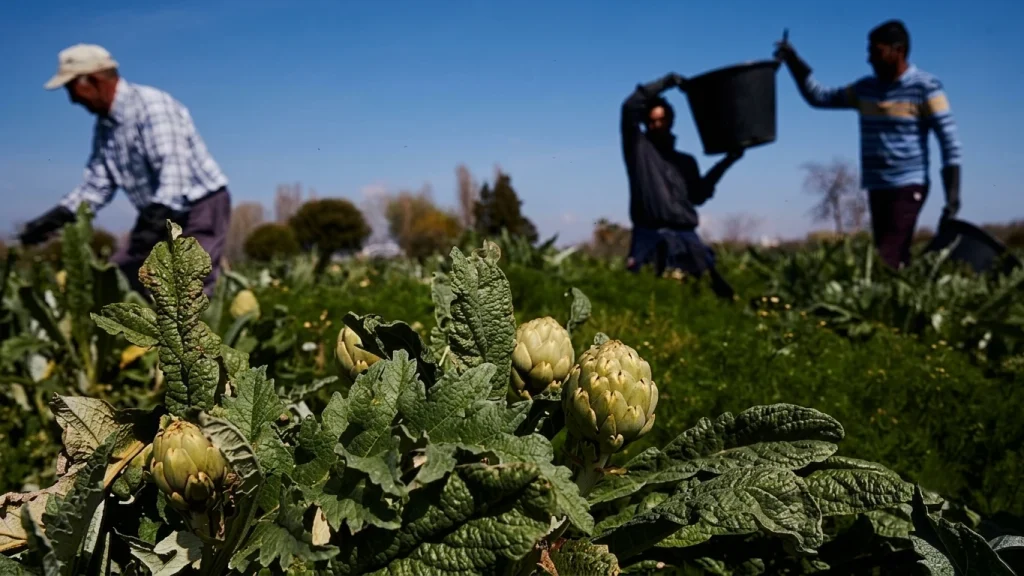 España recibe más de 1,17 millones de solicitudes para la mayor regularización de inmigrantes de su historia