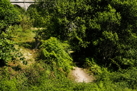 post-image