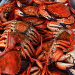 Marisco desde 8 euros y ocho días de fiesta: así será la Festa do Marisco de Vigo que empieza este viernes
