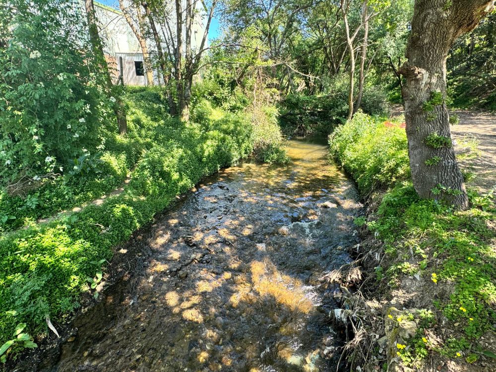 O BNG leva ao Concello un plan para recuperar o Lagares, o río que máis plásticos verte á ría de Vigo