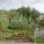 Vecinos de Teis reclaman atención para sus calles sin tener que esperar al anunciado Vigo Arena