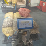 La Guardia Civil decomisa 434 kilos de marisco en O Grove