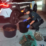 Denunciado un furtivo con más de 25 kilos de centollo y nécora