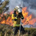 Incendios en Galicia: Quiroga y Silleda suman casi 500 hectáreas quemadas