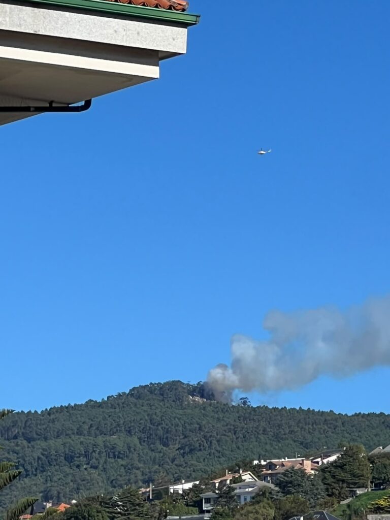 Controlado un incendio forestal en Nigrán que quemó 1.800 metros cuadrados de monte