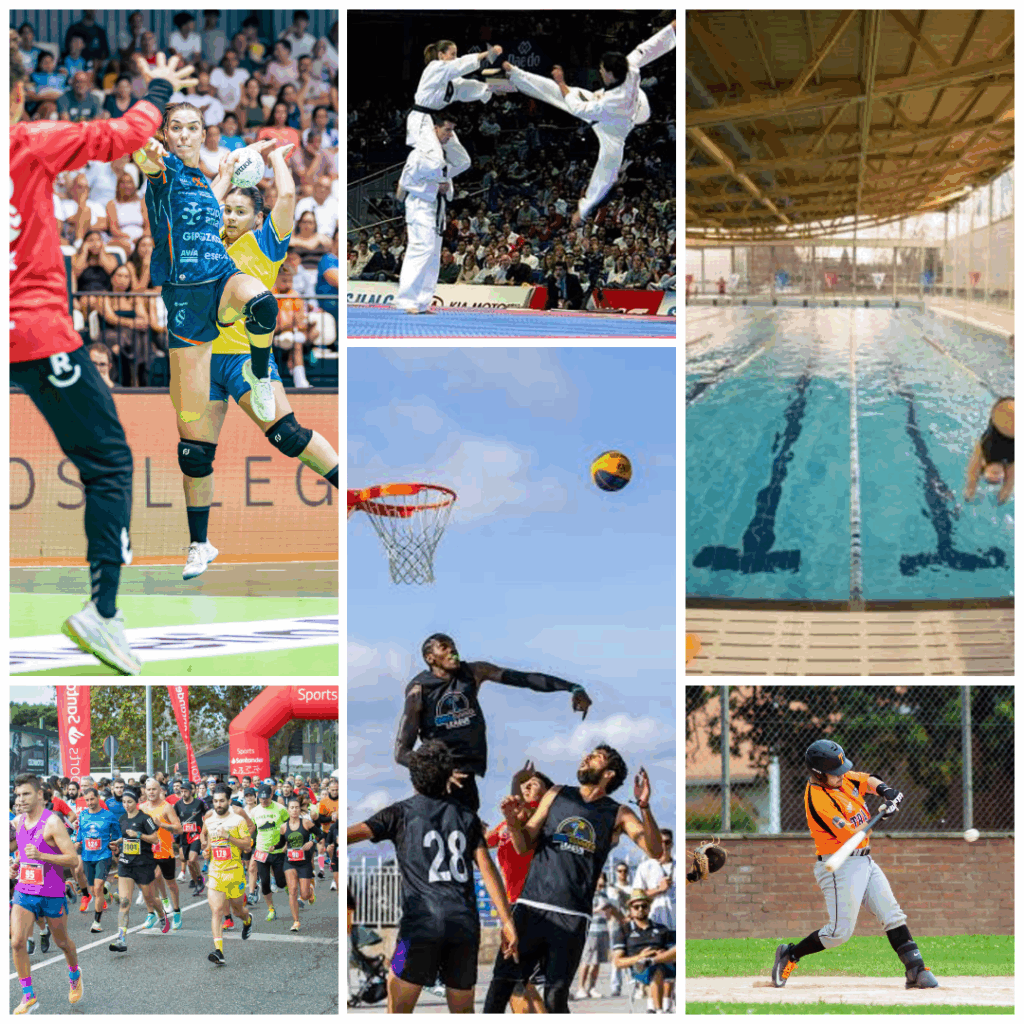 1,55 millones para el deporte de la provincia: 240 entidades recibirán ayudas para competir