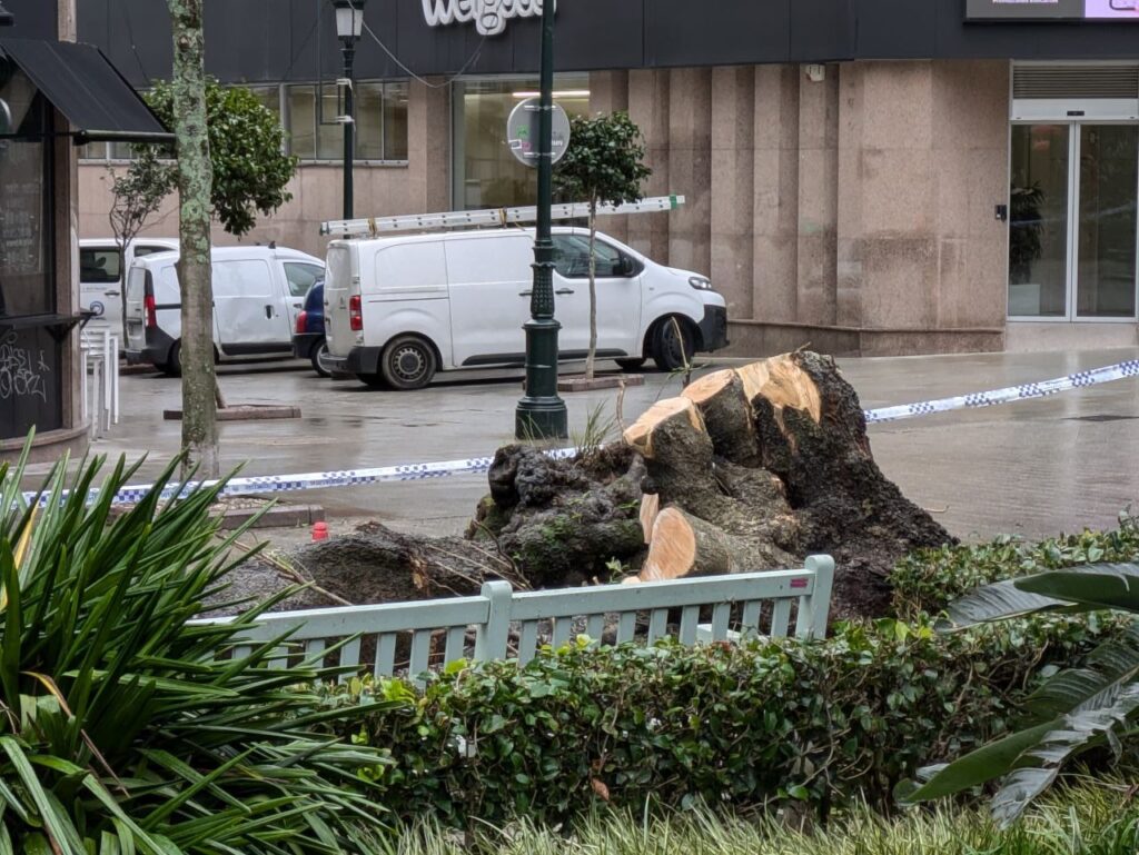 Cerrados siete parques de Vigo por el temporal